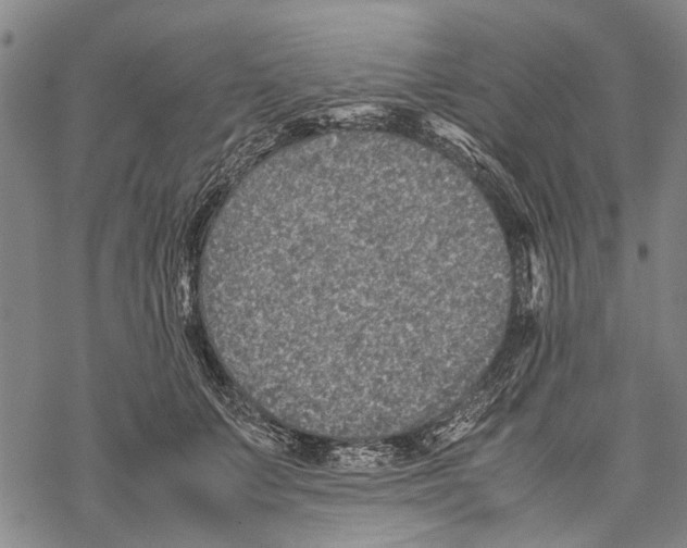 X0000067460703200605051622