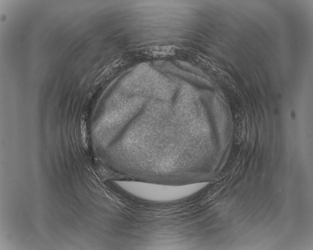 X0000067460704200605051622