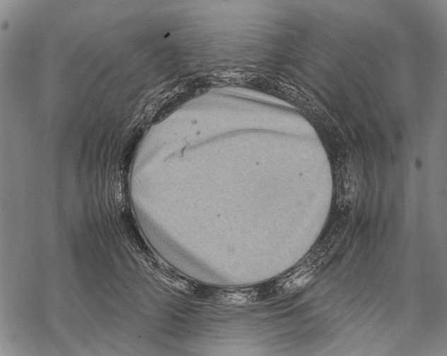 X0000067460706200605051622