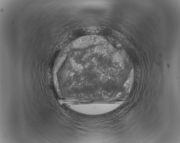 X0000067460707200605051622