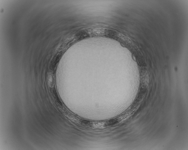 X0000067460709200605051622