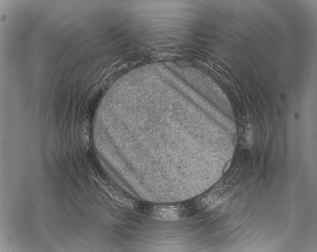 X0000067460710200605051622