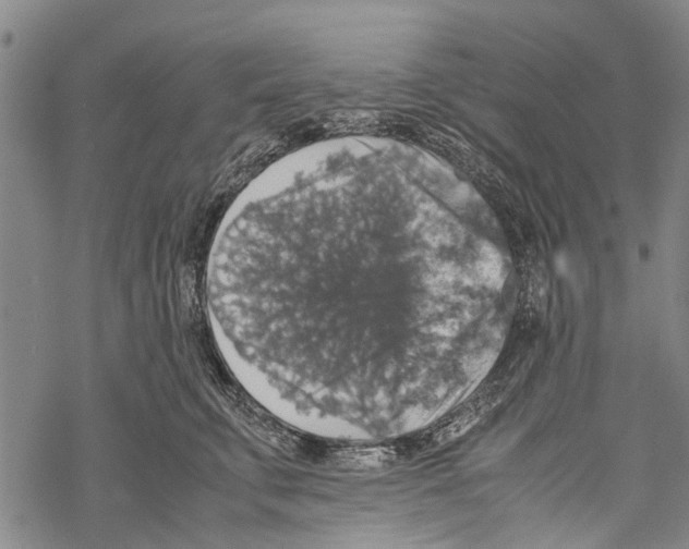 X0000067460711200605051622