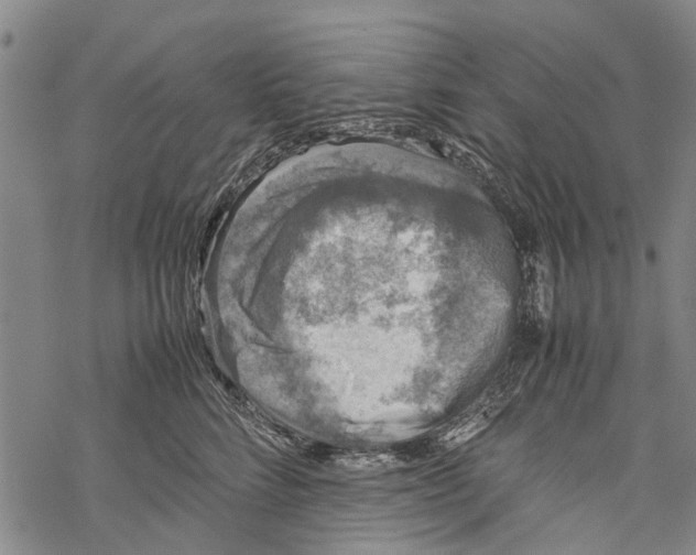 X0000067460712200605051622