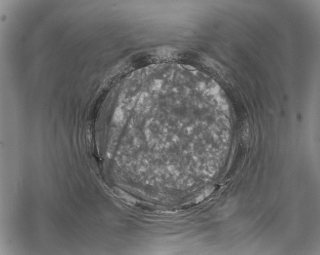 X0000067460715200605051622