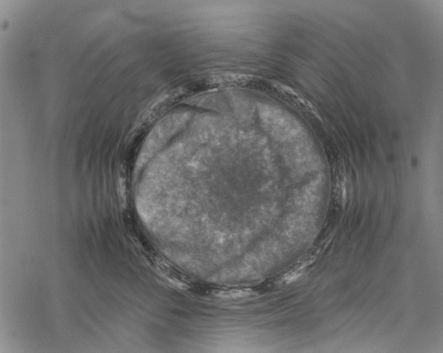 X0000067460716200605051622