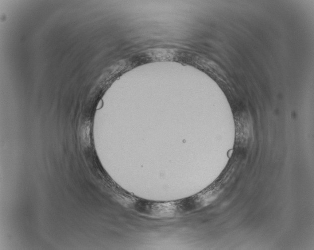 X0000067460717200605051622