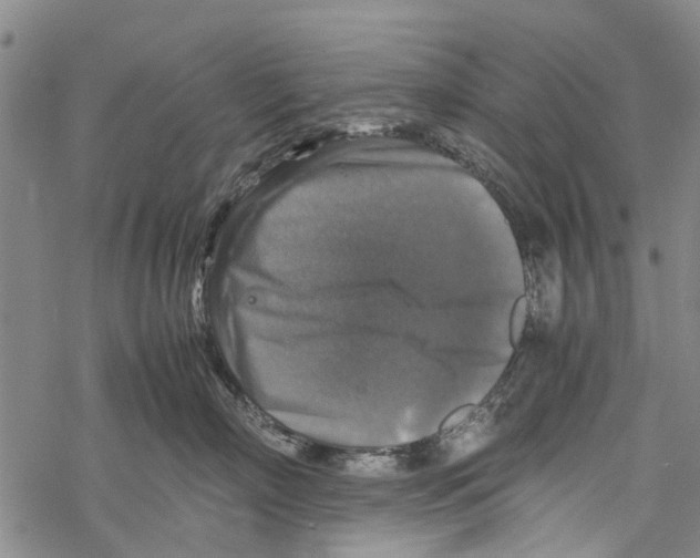 X0000067460718200605051622