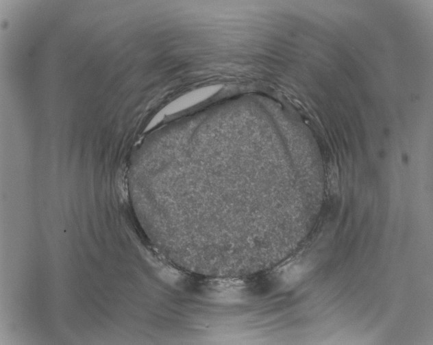 X0000067460719200605051622