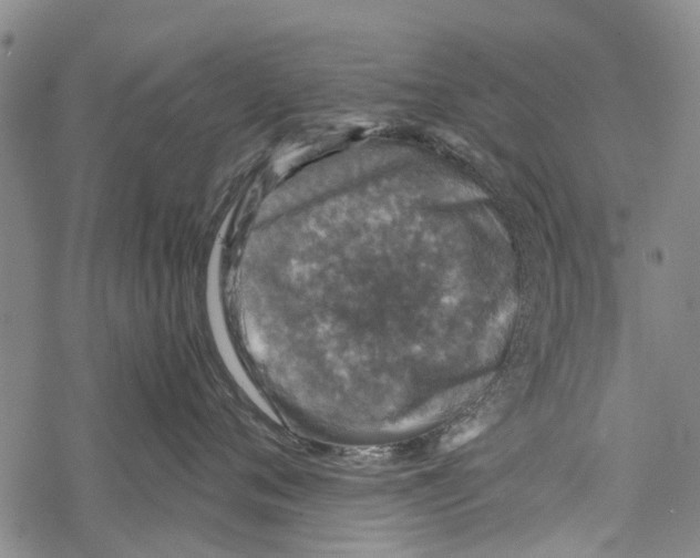 X0000067460720200605051622