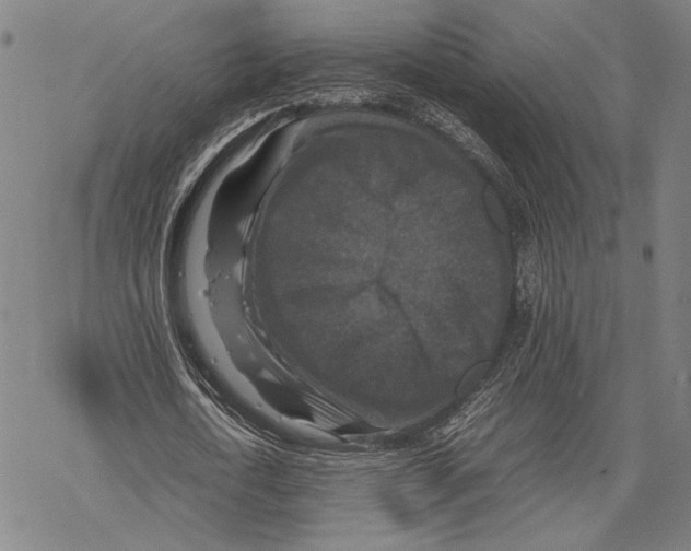 X0000067460722200605051621