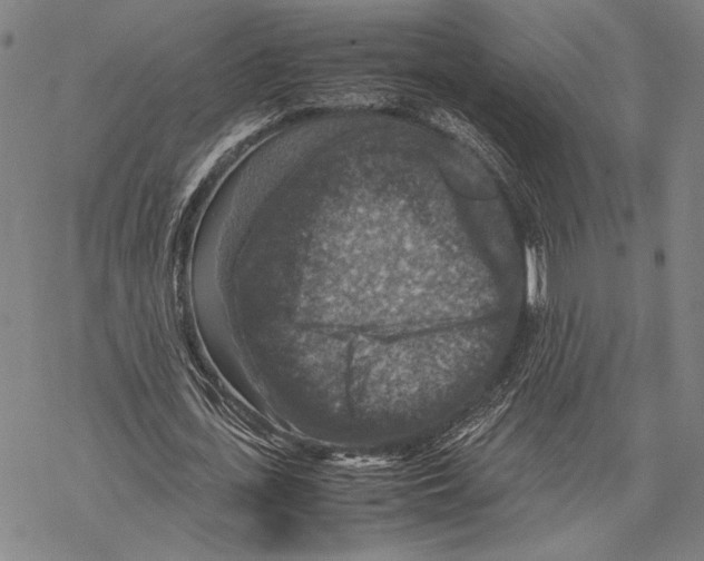 X0000067460723200605051621