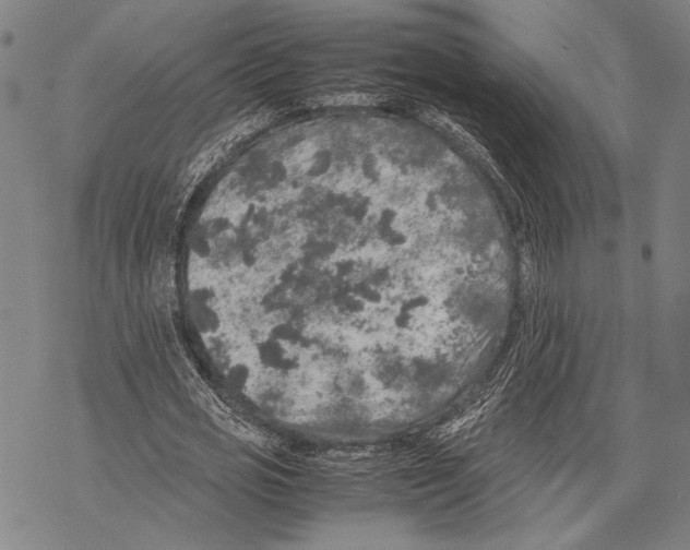 X0000067460725200605051621