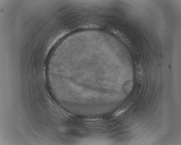 X0000067460727200605051621