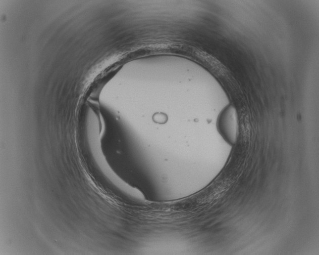 X0000067460728200605051621