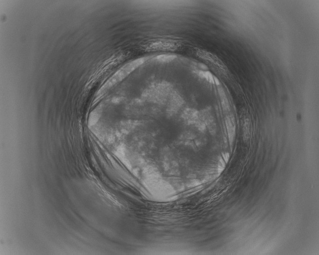 X0000067460729200605051621