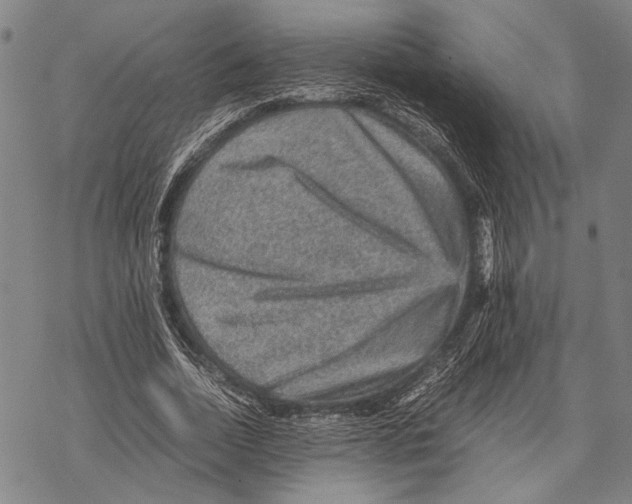 X0000067460730200605051621