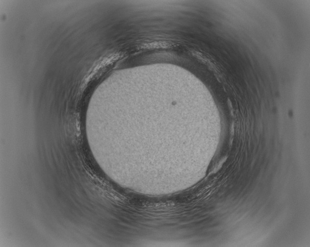 X0000067460731200605051621