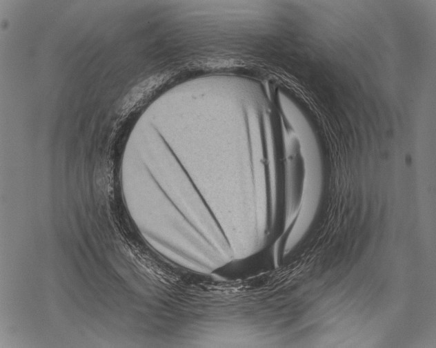 X0000067460732200605051621