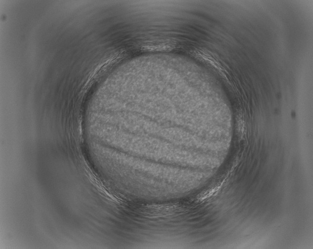 X0000067460733200605051621