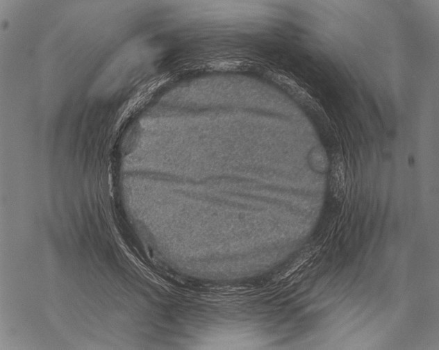 X0000067460734200605051621