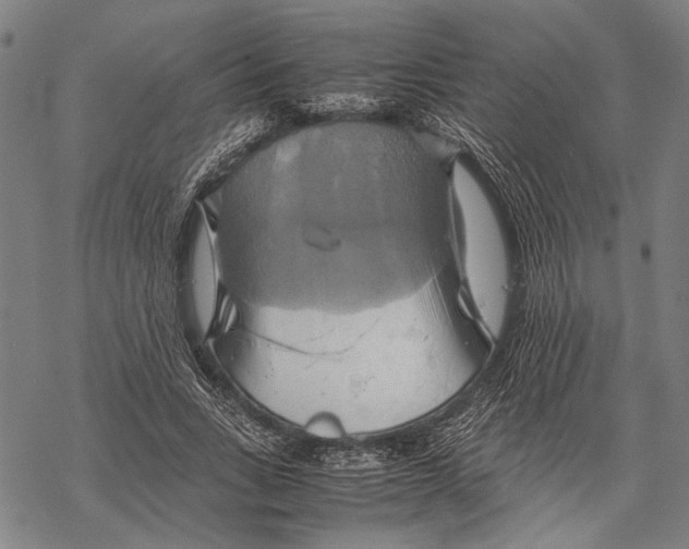 X0000067460735200605051621