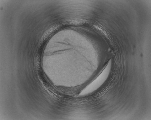 X0000067460736200605051621