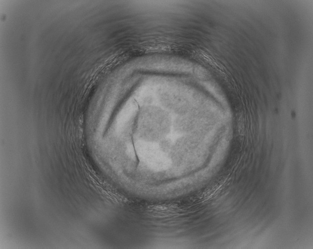 X0000067460737200605051621