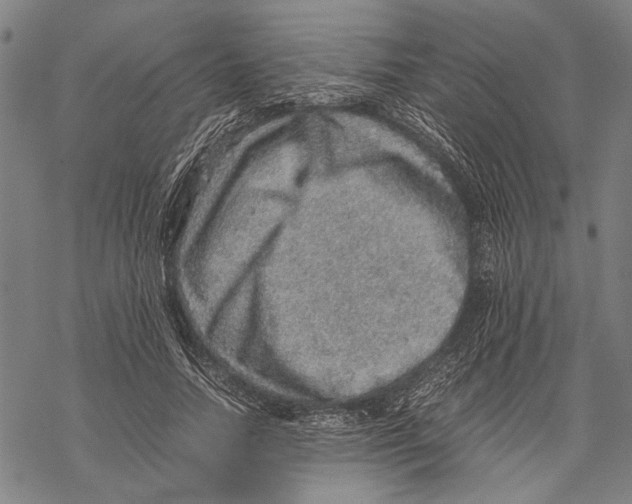 X0000067460738200605051621