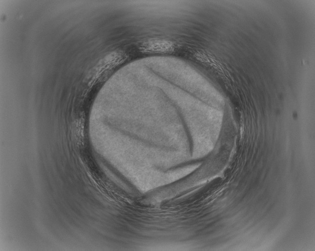 X0000067460739200605051621