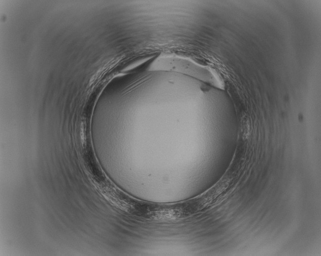 X0000067460740200605051621