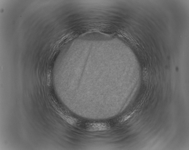 X0000067460741200605051621