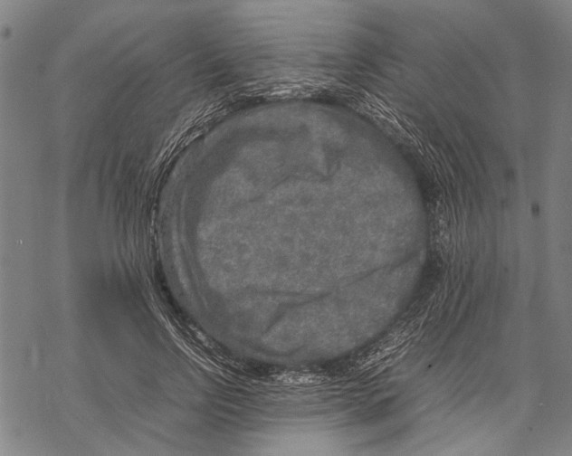 X0000067460742200605051621