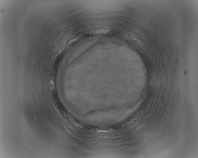 X0000067460743200605051621