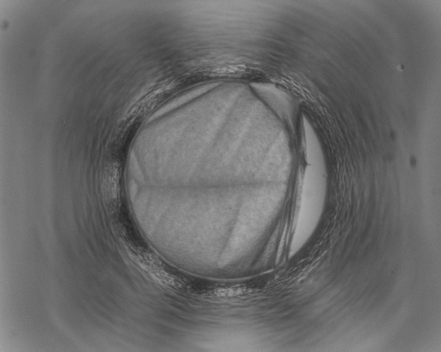 X0000067460744200605051621