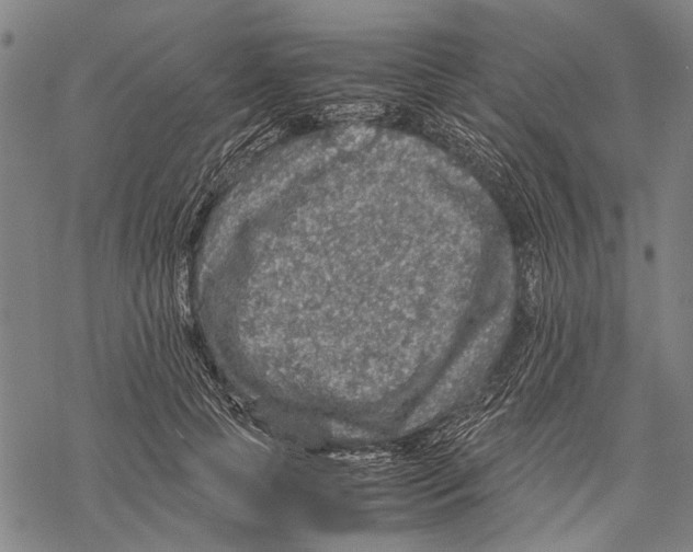 X0000067460745200605051621