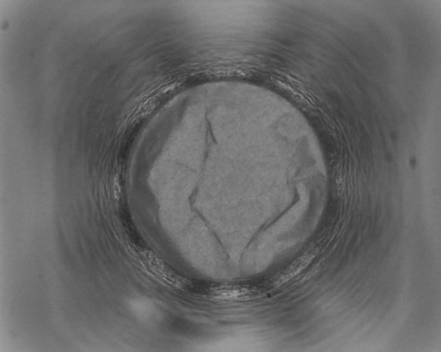 X0000067460746200605051621