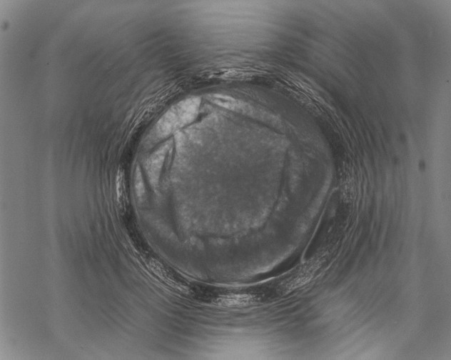 X0000067460748200605051621