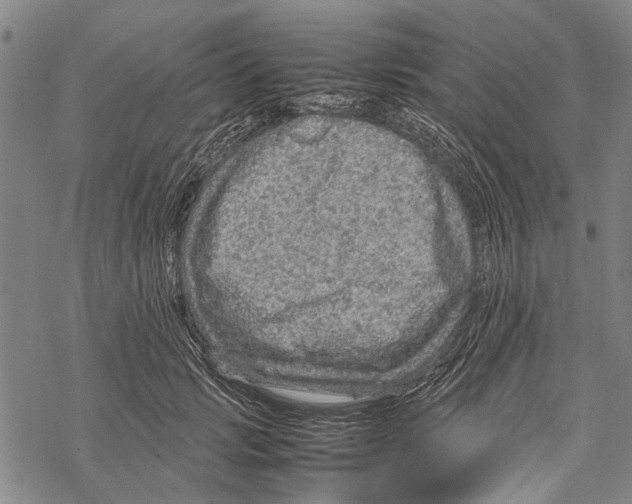 X0000067460749200605051621