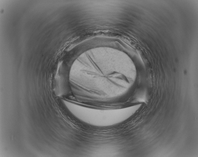 X0000067460750200605051621