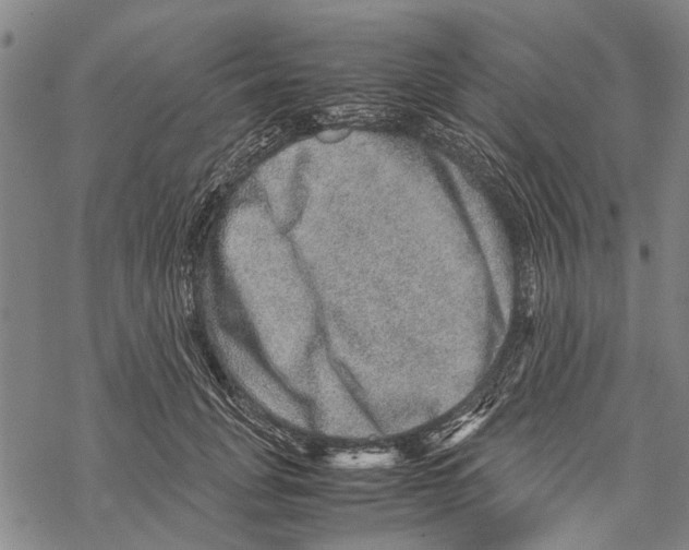 X0000067460751200605051621