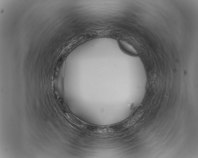 X0000067460752200605051621