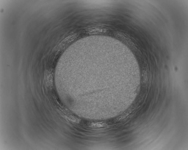 X0000067460753200605051621