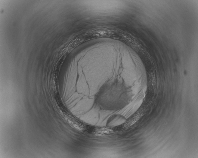 X0000067460754200605051621