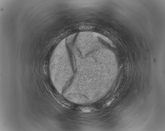 X0000067460755200605051621