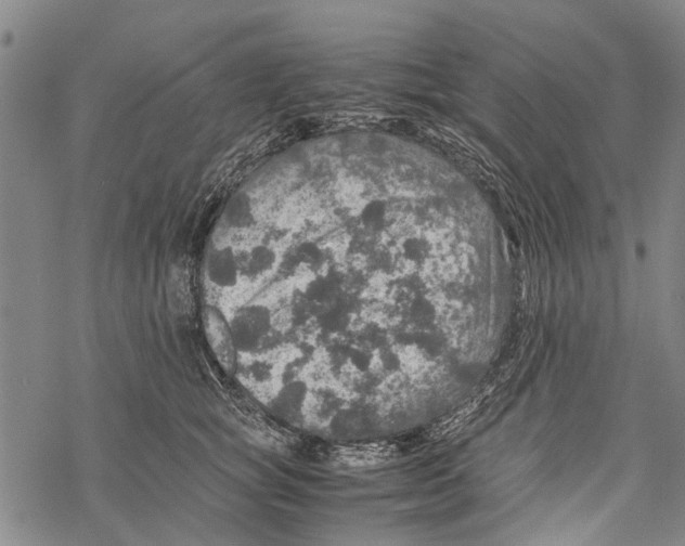 X0000067460757200605051621