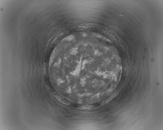 X0000067460758200605051621