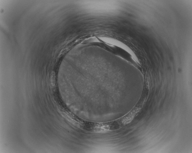 X0000067460760200605051621