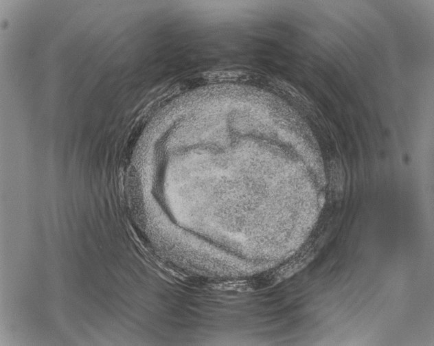 X0000067460761200605051621