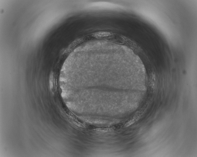 X0000067460763200605051621